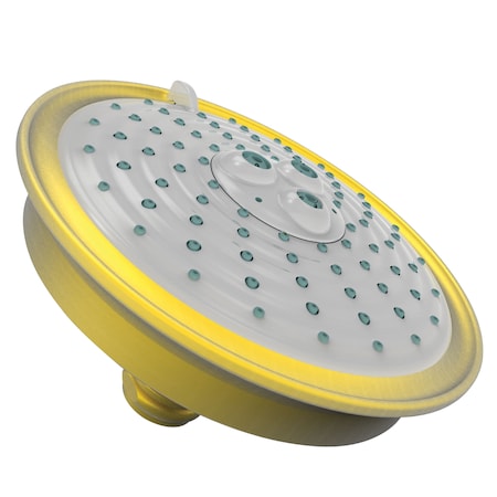 Newport Brass Multifunction Showerhead in Satin Gold (Pvd) 2144-24S